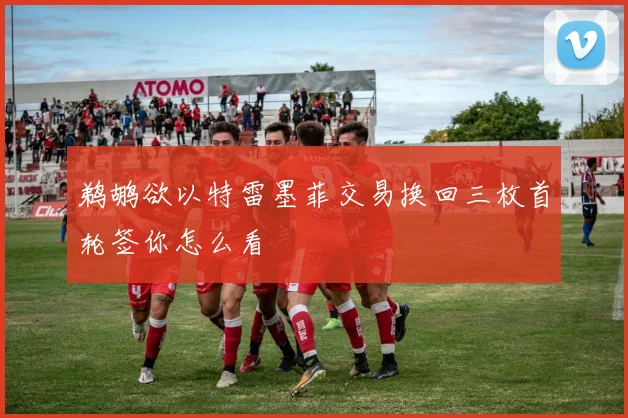 鹈鹕欲以特雷墨菲交易换回三枚首轮签你怎么看