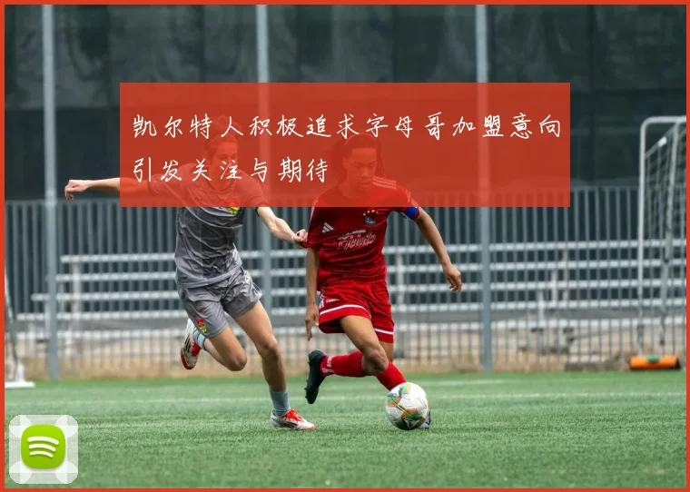 凯尔特人积极追求字母哥加盟意向引发关注与期待